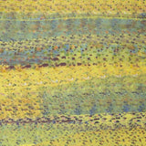 Drive Past Yellow 2022