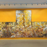 Coprosma Madonna, Kalorama 2021-22