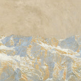 Celestial dirt V 2023