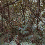 Turmoil, Kalorama 2025