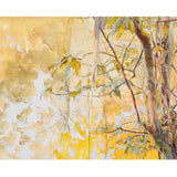 Around the edge, Kalorama I 2024