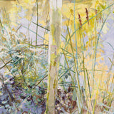 Around the edge, Kalorama II 2024