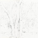 Bloodwood, Newhaven 2025