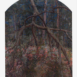Arachne, Kalorama 2026