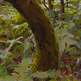 Stoop, Kalorama 2020