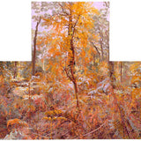 Coprosma Madonna, Kalorama 2021-22