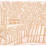 View from the shed  2025