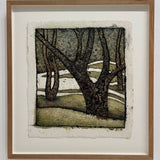 Rambutan orchard, Malaysia 2025