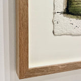 Rambutan orchard, Malaysia 2025