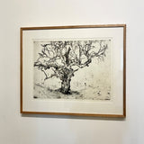 Man & Tree 2026