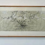 Eucalyptus, reeds and clouds 2025