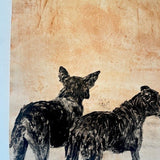 Camp dogs 2007