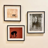 Specular reflection 2021