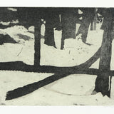 Fallen trees, snow 2012