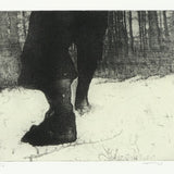 Man striding in snow 2012