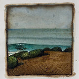 Hendersons Point, white water 2025