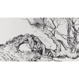 Cairn of the Wolf Birch 2009