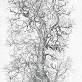 Again tree, Elm 2017