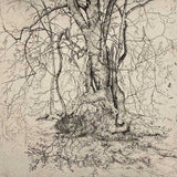 Skelbo beech & burn 2020-22