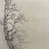 On the road to Bonar Bridge 2019