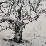 Man & Tree 2026