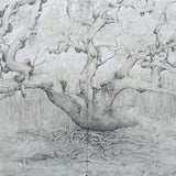 Eucalyptus, reeds and clouds 2025