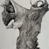 Fox tree 2024