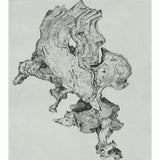 Mudgegonda fragment 2010