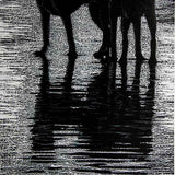 Specular reflection 2021