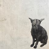 Street dog - empty bowl of everything 2004