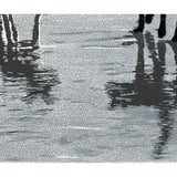 Varying degrees of perception 2022