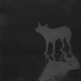 The presence of dogs 2022