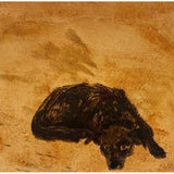 Ponder 2007