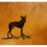 Mysterious soul 2007