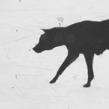 Street dog (bitch) 2004