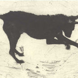 Dialogue of the dog 2009