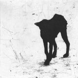 Street dog #1 2002