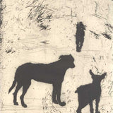 Street dogs (mongrels) 2004