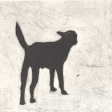 Street dog (woof) 2004