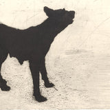 Street dog (yelp) 2004
