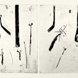 Ferns diptych II (state II)  JM256A  1971