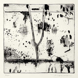 Sapling, Kew billabong JM287 1975