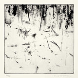 Cottlesbridge, landscape with  derelict car JM290  1975