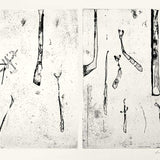 Ferns diptych I (state II)  JM256  1971