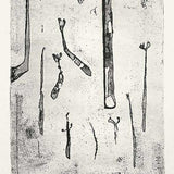 Ferns II (state II) JM255  1971