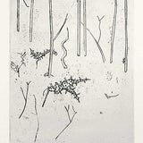 Acacias II (state I) JM274 1974