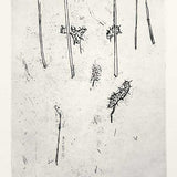 Acacias I (state I) JM275 1974