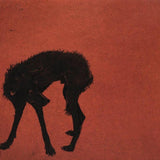 To gaze the tail end 2023