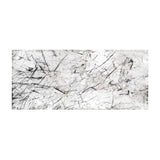 Isopogen frot Royal National Park 2002