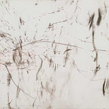 Whitakee wattle and grey-crowned babbler 2004